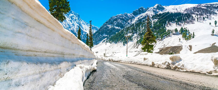 KASHMIR
